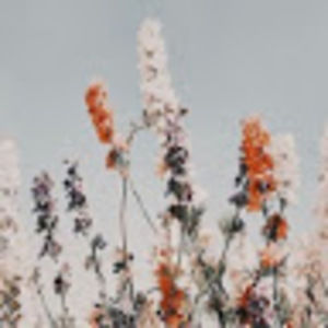 Meet your Posher, Maddie